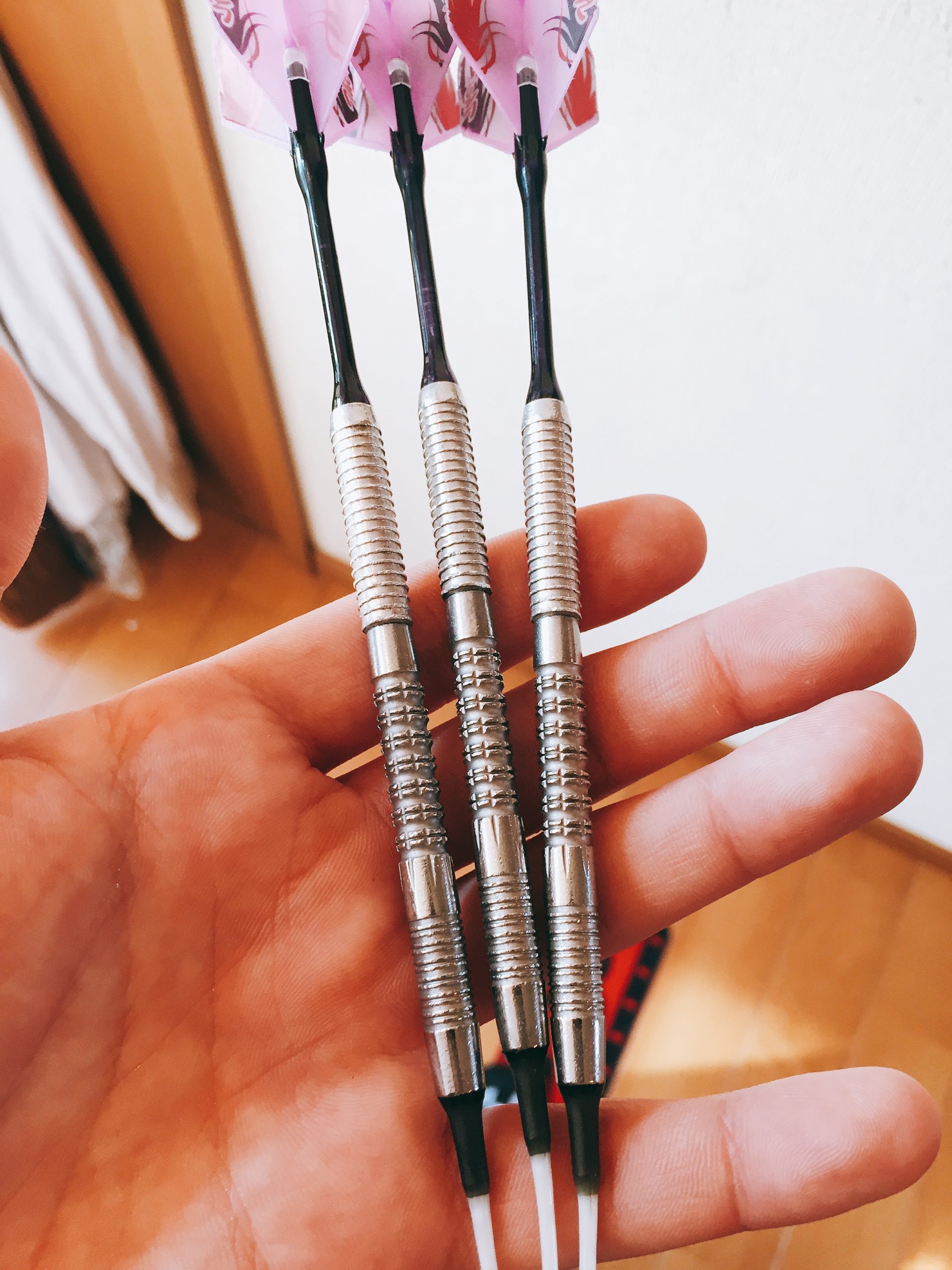 ダーツ 飛び 暴れる